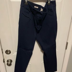 EUC Loft navy Skinny Ankle Pants